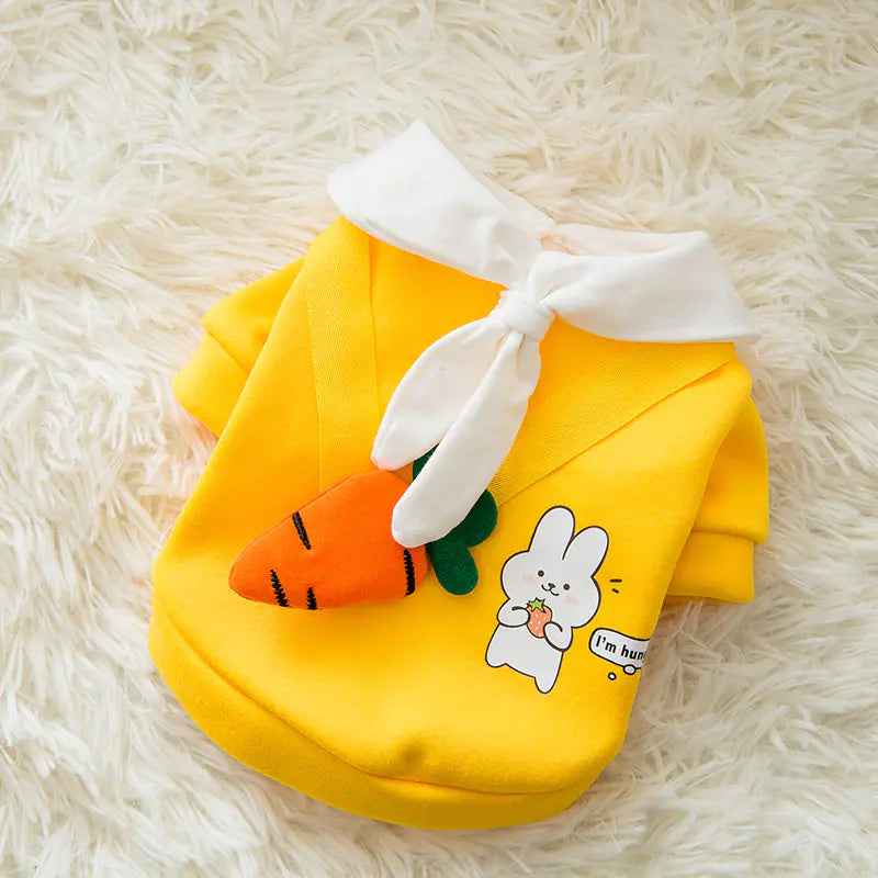 Pet clothes with cute prints