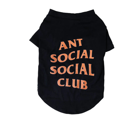 Modern Summer Clothes for Pets