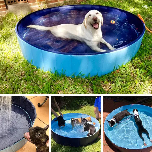 Foldable PVC Pool for Pets
