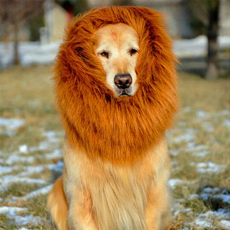 Lion Hair Costume for Dogs