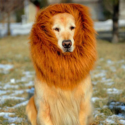 Lion Hair Costume for Dogs
