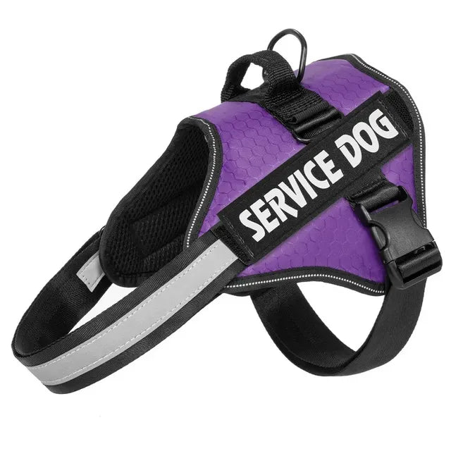 Adjustable harness for large dogs