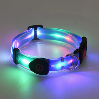 Rechargeable LED Pet Collar with Leash
