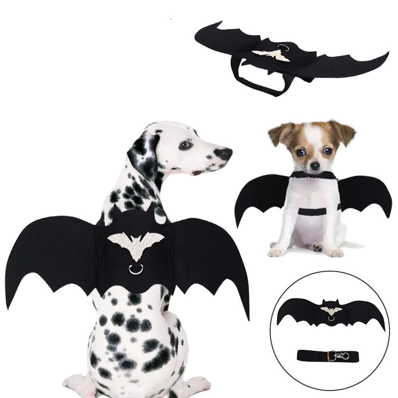 Bat Wings Pet Costume