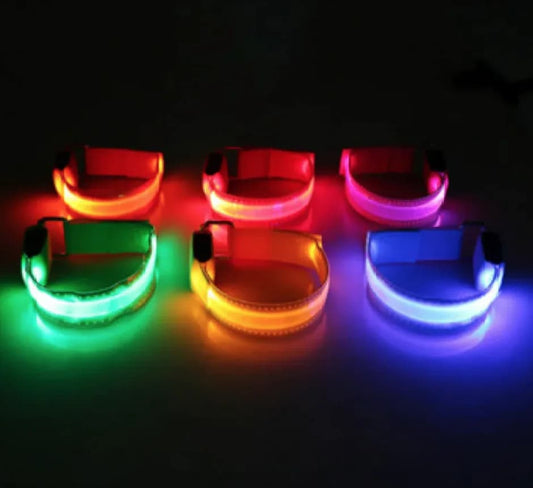 Collar de Seguridad con luz LED para perros