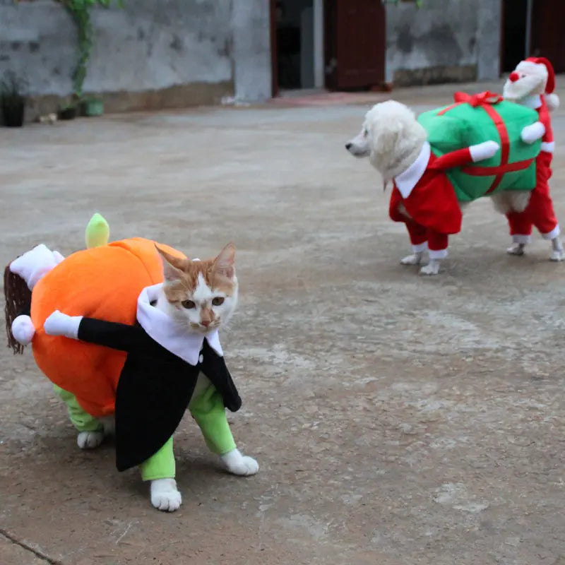 Pumpkin Pet Costume