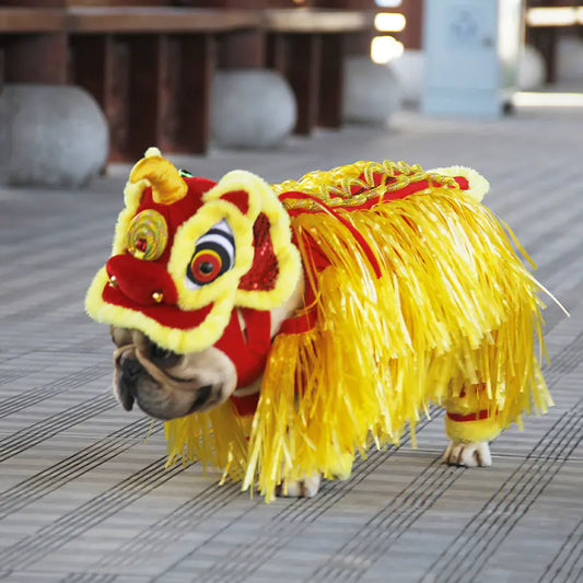 Golden Lion Pet Costume