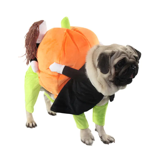 Pumpkin Pet Costume