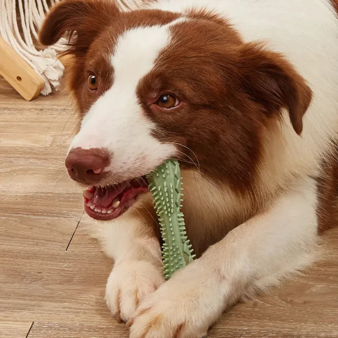 Chew Toys for Dog Dental Cleaning