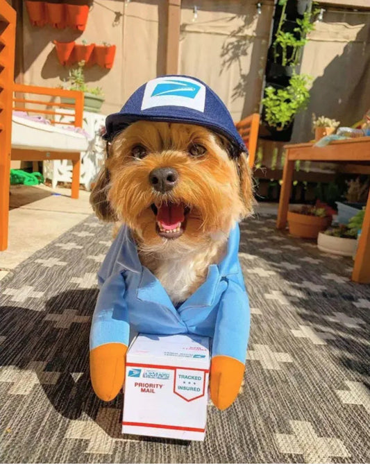 Disfraz de Repartidor para Mascotas