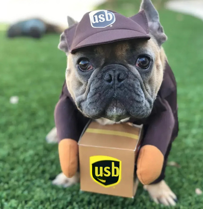 Disfraz de Repartidor para Mascotas