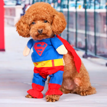 Blue and red cape costume for pets