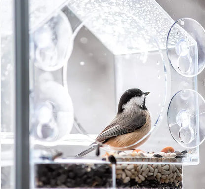 Smart bird feeder ideal for outdoors