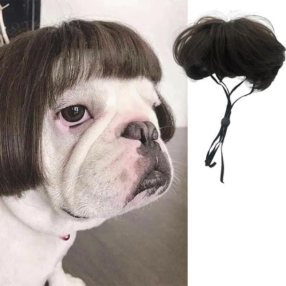 Halloween wigs for dogs and cats