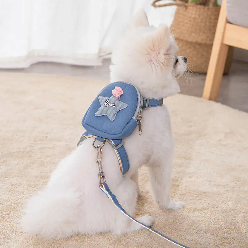 Harness with Leash and Backpack