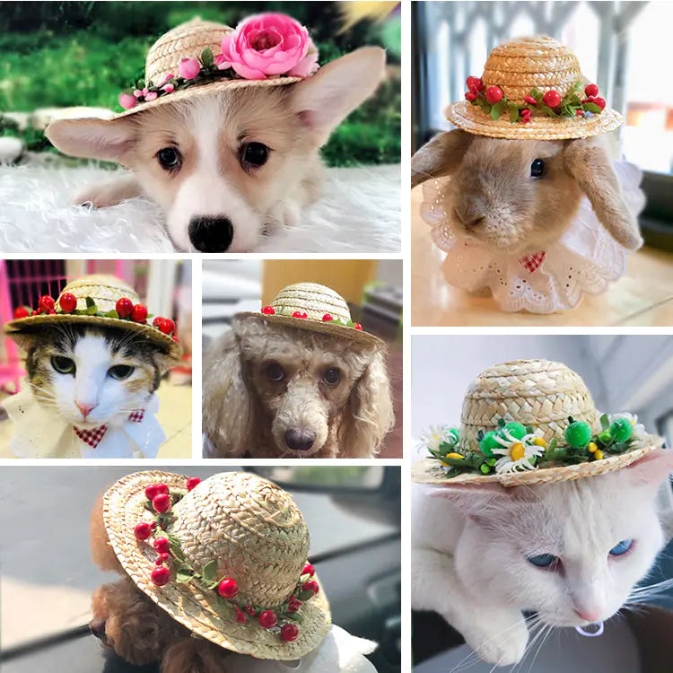 Summer Pet Hat