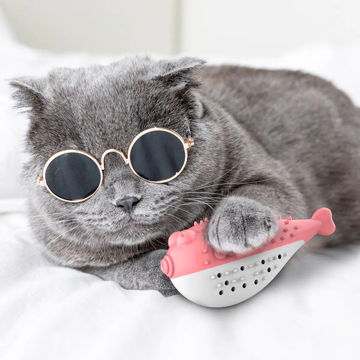 Dental toy with brush and teether for cats