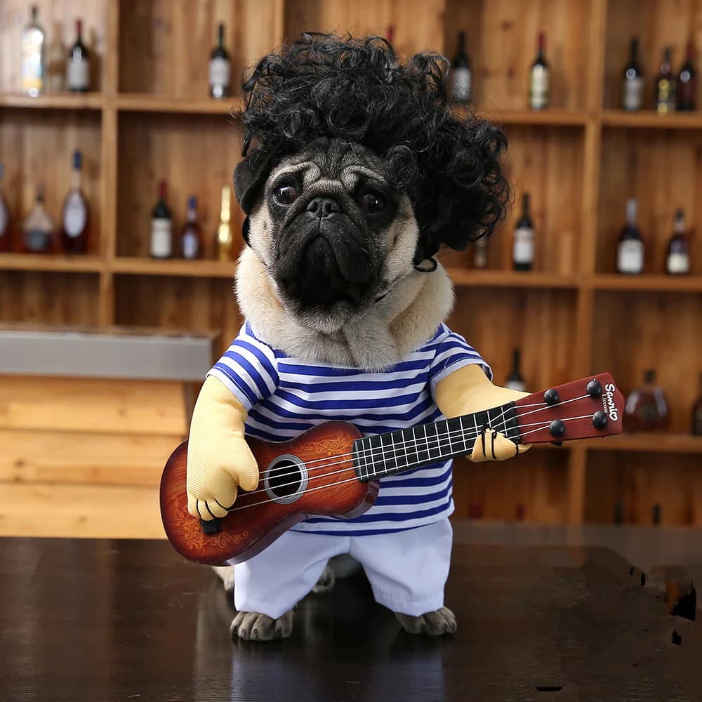 Costume da rocker per animali domestici