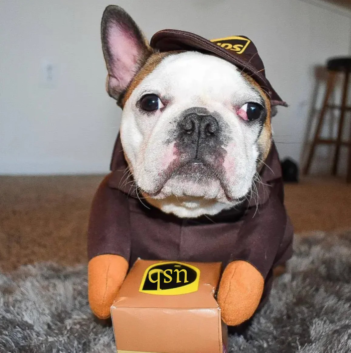 Disfraz de Repartidor para Mascotas