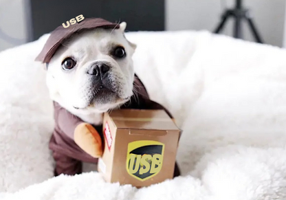 Disfraz de Repartidor para Mascotas