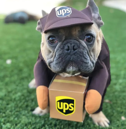 Delivery Man Pet Costume