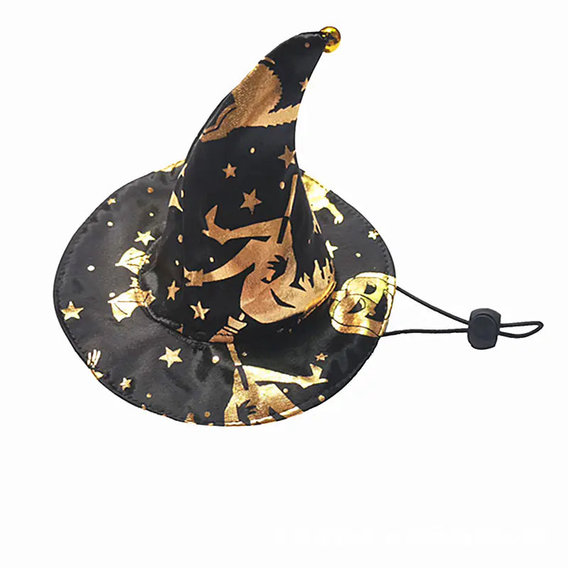 Magician Pet Costume for Halloween