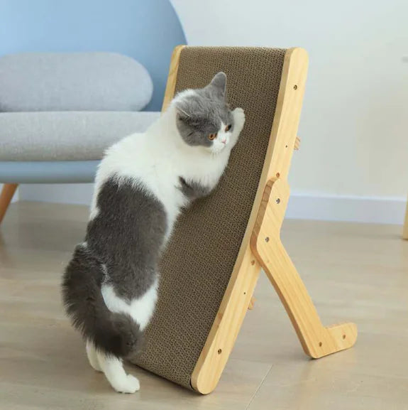 Cat bed and scratcher