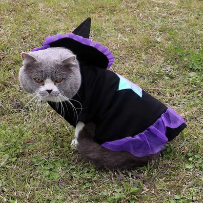 Magician Costume for Pets