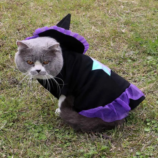 Magician Costume for Pets
