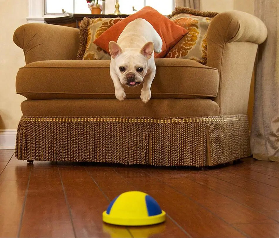 Dog Chew and Toss Toy