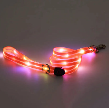 Rechargeable LED Pet Collar with Leash