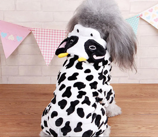 Animal Costumes for Pets - Various Models
