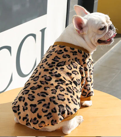 Warm Puppy Jacket