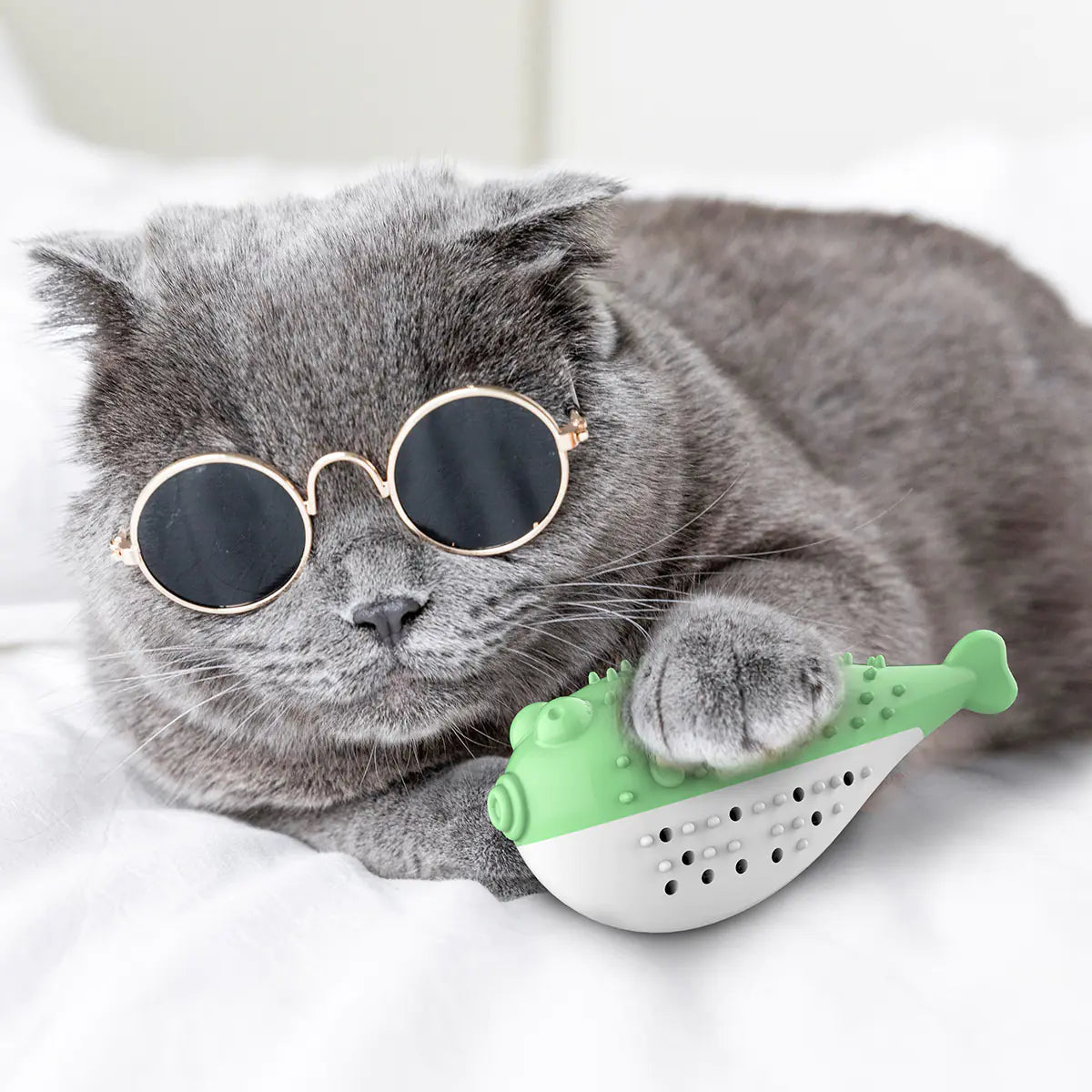 Dental toy with brush and teether for cats