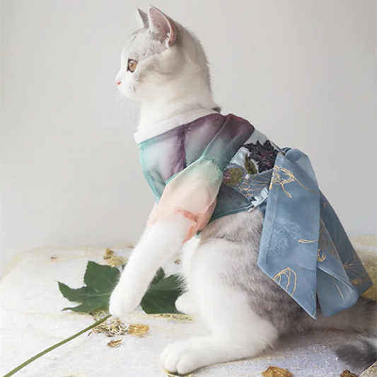 Ancient Hanfu Clothes for Cats, Spring Breeze
