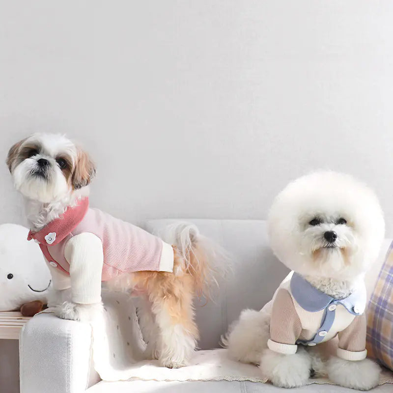Small Puppy Pet Costume