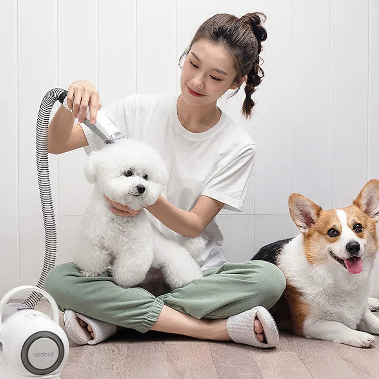 Pet hair clipper for home use
