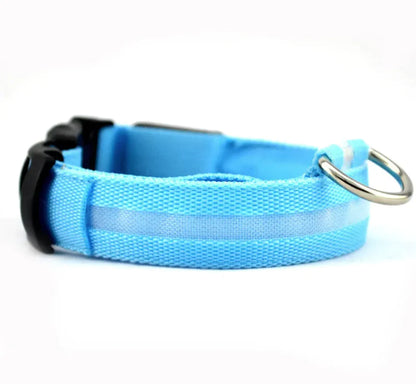 LED Safety Collar for Dogs