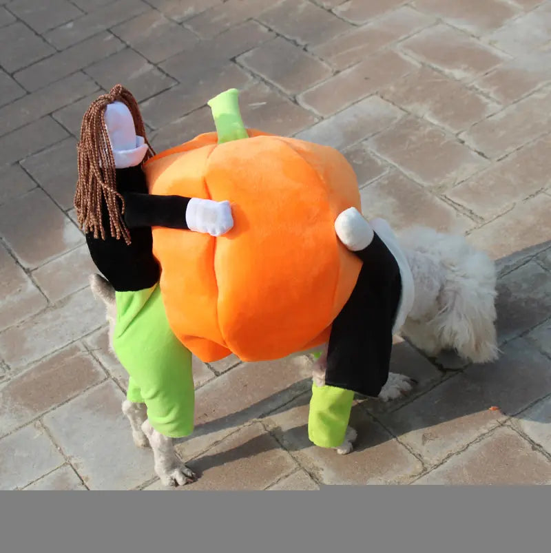 Pumpkin Pet Costume
